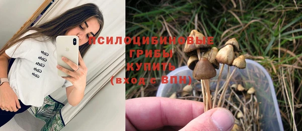 таблы Алзамай
