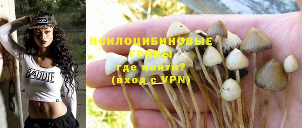 твердый Алексеевка